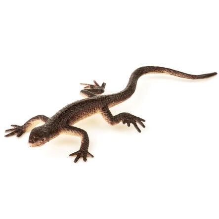Reptiles 60pk  hi\-res
