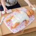 Role Play Doll\'s Changing Mat Set  hi\-res