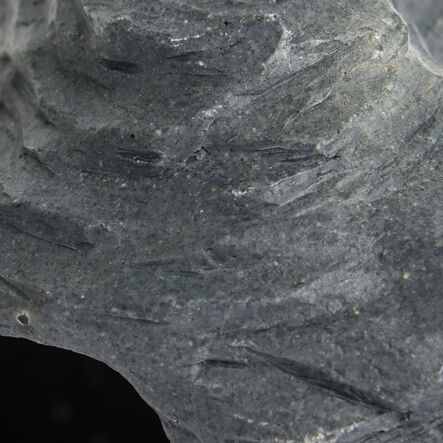 Yellow Door Small World Play Habitats Bundle  hi\-res