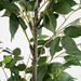 Large Green Artificial Ficus Tree in Black Pot 140cm  hi\-res