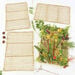 TTS Seagrass Weaving Frames 60 x 40cm 4 Pack  hi\-res