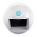 Easi\-Scope with Screen Single  hi\-res