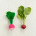Natural Rubber Toddler Fruit and Veg Chewables  hi\-res