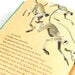 Cultures and Settings Story Book Pack 24pk  hi\-res