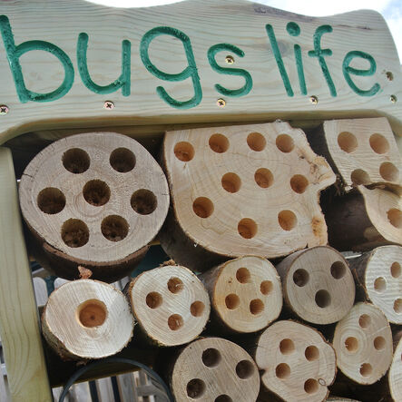 Bugs Life  hi\-res