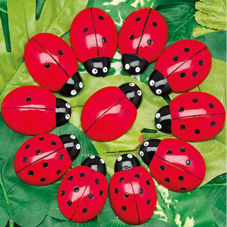 Ladybugs Counting Activity Cards 16pk  hi\-res