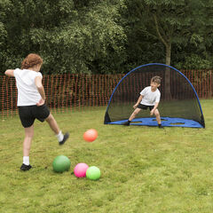 TTS Multipurpose Target and Goal  TTS Multipurpose Target and Goal  hi-res