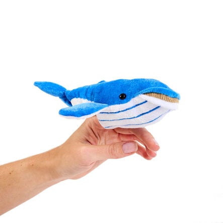 Commotion in the Ocean Vocabulary and Story bag  hi\-res