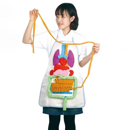 Human Anatomy Apron  hi\-res