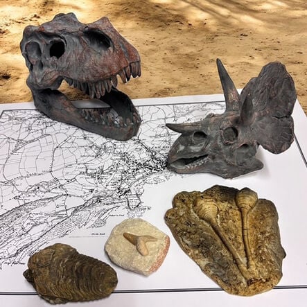 Dinosaur Fossil Kit  hi\-res