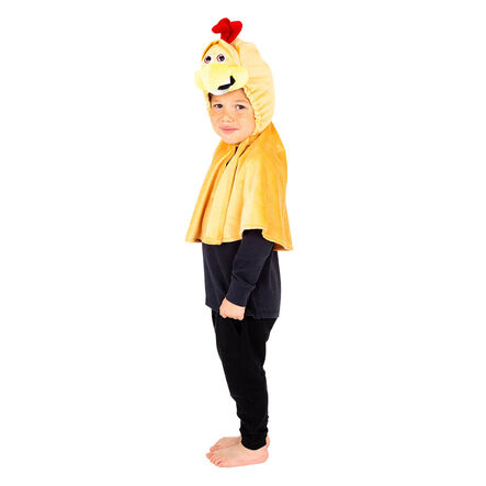 Role Play Dressing Up Animal Capes 4pk  hi\-res