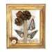 Wooden Buttons 440pk  hi\-res