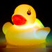Squidgy Flashing Animal  hi\-res