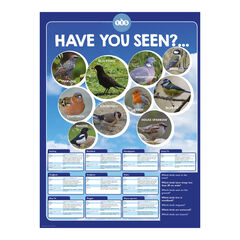 TTS Identifying British Birds Playground Sign  TTS Identifying British Birds Playground Sign  hi-res
