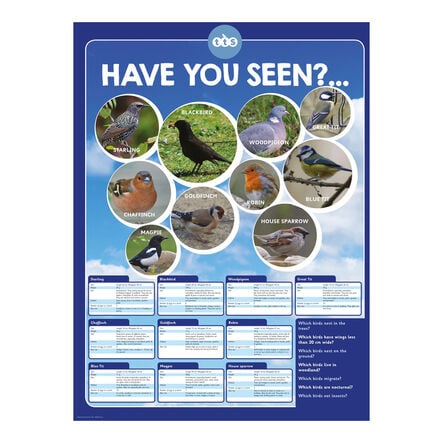 TTS Identifying British Birds Playground Sign  hi\-res