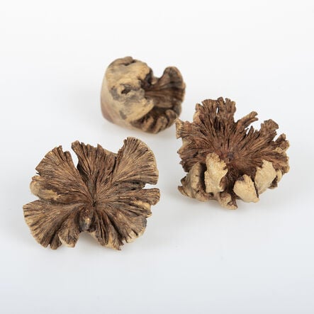 Loose Parts Natural Wood Roses 3pk  hi\-res