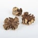Loose Parts Natural Wood Roses 3pk  hi\-res