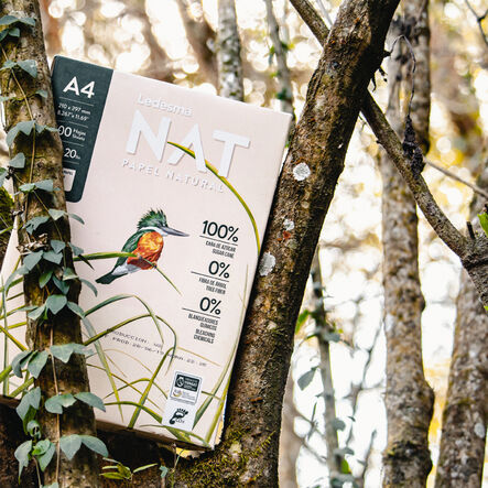 Ledesma NAT A3 Copier Paper 75gsm 500 Sheets  hi\-res