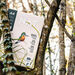 Ledesma NAT A3 Copier Paper 75gsm 500 Sheets  hi\-res