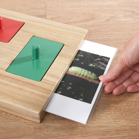 TTS Wooden Jigsaw Explorer Image Board  hi\-res