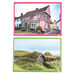 Homes Through Time Artefact Collection  hi\-res