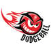 Foam Dodgeballs with Bag  hi\-res