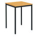 MDF Edge Welded Frame Square Table 60x60cm  hi\-res