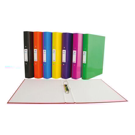 Ring Binders A4 10pk  hi\-res