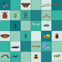 Loti-Bot Mat - Minibeasts  Loti-Bot Mat - Minibeasts  hi-res