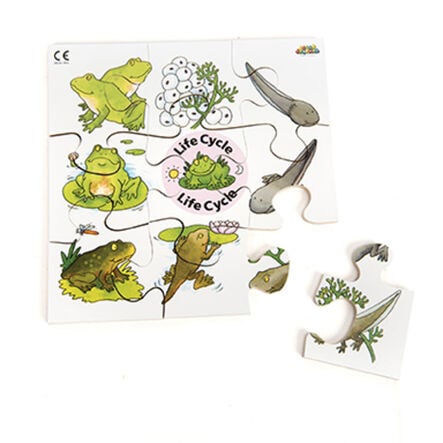 Frog, Duck, Butterfly and Tree Life Cycle Jigsaws  hi\-res