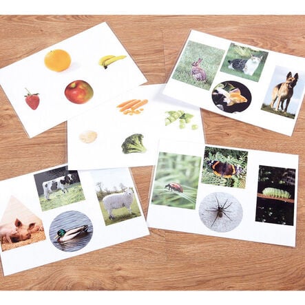 TTS Wooden Jigsaw Explorer Image Board  hi\-res