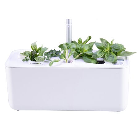Hydroponic Smart Garden  hi\-res