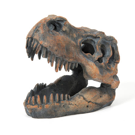 Dinosaur Fossil Kit  hi\-res