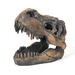Dinosaur Fossil Kit  hi\-res