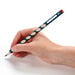 STABILO EASYgraph HB Pencils  hi\-res