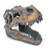 Dinosaur Fossil Kit  hi\-res