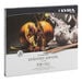 Rembrandt Polycolor Colouring Pencils Assorted  hi\-res