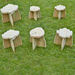 Storytellers\' Wooden Chair and 6 Stools  hi\-res