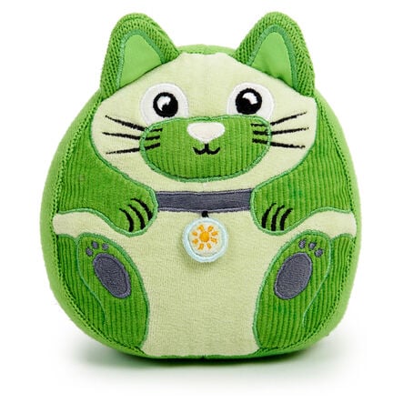 Calming Kittens and Activity Cards  hi\-res