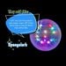 Spangalorb  hi\-res