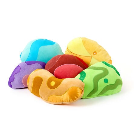 Sensory Technology Cushions Collection 6pk  hi\-res