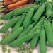 Vegetable Seed Collection  hi\-res