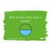 TTS Mastering Fractions Activity Cards Year 1  hi\-res