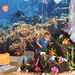 TTS Immersive Environments Backdrop Under The Sea  hi\-res