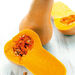 Vegetable Seed Collection  hi\-res