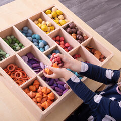 Loose Parts Wooden Sorting Tray 14 Way  hi-res