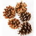 Natural Pine Cones 500g  hi\-res