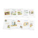 French Reading Book Pack 10pk  hi\-res