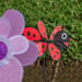 Windy Playground Sensory Set  hi\-res