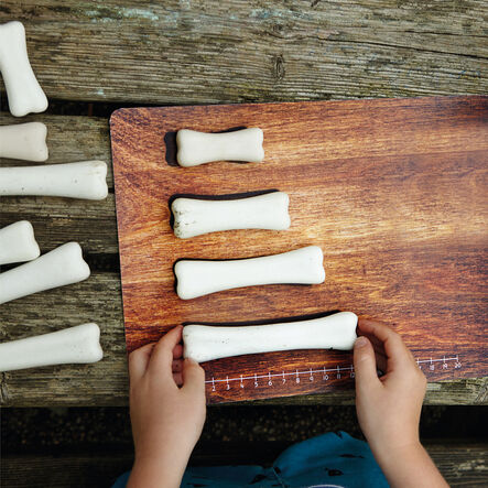 Match and Measure Dinosaur Bones and Activity Cards  hi\-res